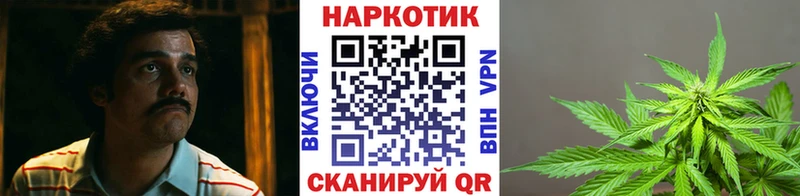 Виды наркотиков купить Вышний Волочёк ГАШ  Амфетамин  МЕФ  Каннабис 