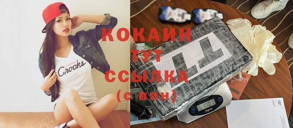 дмт Протвино